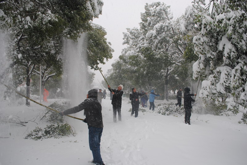 淮南師范學(xué)院召開抗雪防災(zāi)工作會議，加強(qiáng)校園安全工作