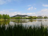 浙江農(nóng)林師范大學(xué)東湖校區(qū)歷年錄取分數(shù)線