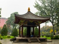 西北大學師范學院太白校區(qū)歷年招生錄取分數線