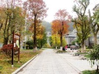 吉首師范大學(xué)張家界學(xué)院2023年學(xué)費、收費多少