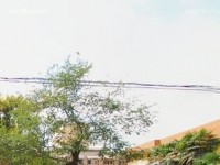西安職業(yè)中等幼師專業(yè)學校2023年報名條件、招生要求、招生對象