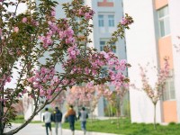 渭南職業(yè)技術(shù)師范學(xué)院朝陽校區(qū)2023年學(xué)費、收費多少