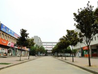 許昌職業(yè)技術師范學院2023年招生錄取分數(shù)線