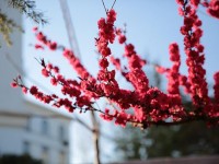 山東威海藝術(shù)幼兒師范學(xué)校2023年學(xué)費、收費多少