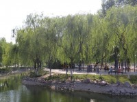 新鄉(xiāng)工程師范學(xué)院2023年學(xué)費(fèi)、收費(fèi)多少