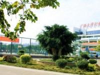 廣西大學(xué)行健文理師范學(xué)院2023年學(xué)費、收費多少