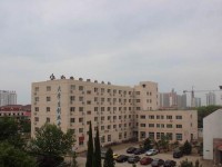 河北對(duì)外經(jīng)貿(mào)師范職業(yè)學(xué)院2023年學(xué)費(fèi)、收費(fèi)多少