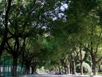 嘉興師范學(xué)院南湖學(xué)院2023年招生錄取分?jǐn)?shù)線(xiàn)