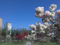 河北正定師范高等?？茖W(xué)校2023年招生錄取分?jǐn)?shù)線