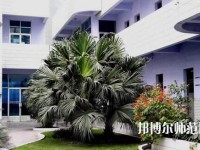四川信息工程幼兒師范學(xué)校2023年報(bào)名條件、招生要求、招生對象