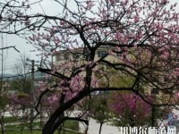 貴陽(yáng)中華幼師職業(yè)學(xué)校2023年怎么樣、好不好