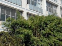 貴州貴陽中山科技幼兒師范學(xué)校2023年學(xué)費、收費多少