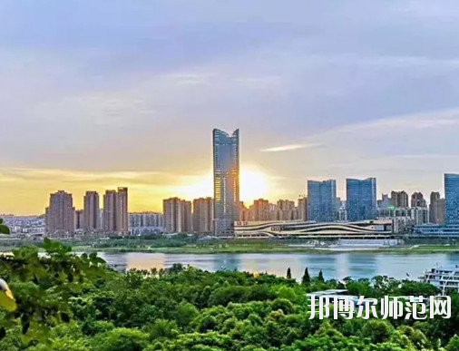 南充應(yīng)用技術(shù)幼兒師范職業(yè)學(xué)校2020年有哪些專(zhuān)業(yè)