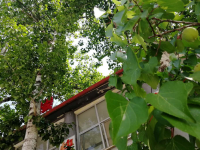 河北航空管理幼兒師范中等專業(yè)學(xué)校2023年怎么樣，好不好