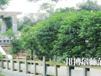 德陽通用電子科技幼兒師范學(xué)校2021年報(bào)名條件、招生要求、招生對(duì)象