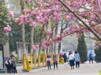 石家莊法商幼兒師范中等專業(yè)學(xué)校2023年學(xué)費、收費多少