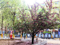 石家莊法商幼兒師范中等專業(yè)學(xué)校2023年報(bào)名條件、招生要求、招生對象