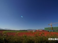 云南2020年初中生有哪些幼師學(xué)校？