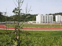 四川幼兒師范高等?？茖W(xué)校2023年招生簡章