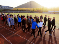 石家莊幼兒師范高等?？茖W(xué)校歷年招生錄取分?jǐn)?shù)線