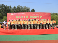 石家莊幼兒師范高等?？茖W校2023年是幾專
