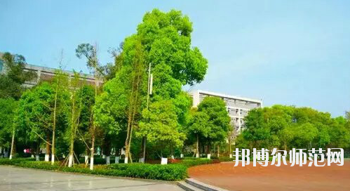 重慶市九龍坡幼師職業(yè)教育中心怎么樣、好不好。
