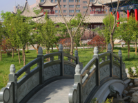 蘭州職業(yè)技術(shù)師范學(xué)院桃林校區(qū)2023年怎么樣、好不好