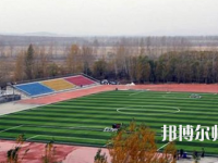 鶴崗師范高等?？茖W校2023年招生代碼