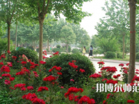 河南科技職業(yè)師范大學(xué)2023年報(bào)名條件、招生要求、招生對(duì)象