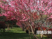 河南科技職業(yè)師范大學(xué)2023年怎么樣、好不好