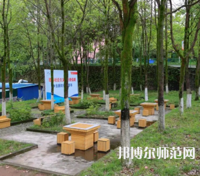 重慶安全技術(shù)幼兒師范職業(yè)學院2023年招生計劃