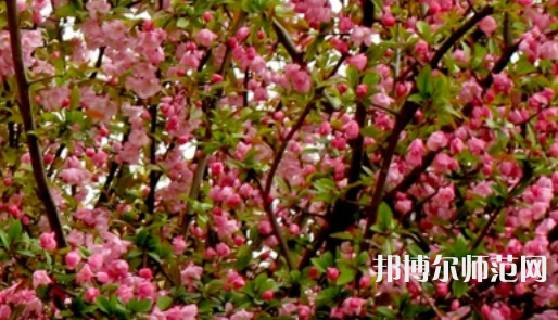 鄭州大學(xué)師范學(xué)院南校區(qū)2023年怎么樣、好不好
