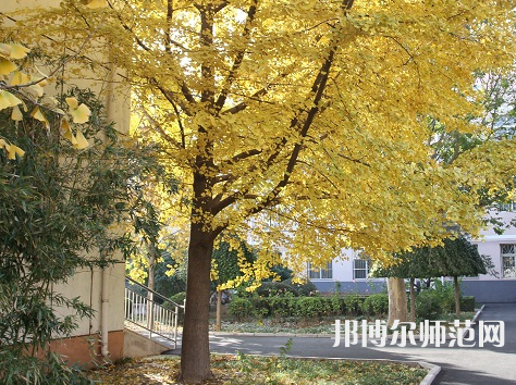 北京京北職業(yè)師范技術學院2023年報名條件、招生要求、招生對象