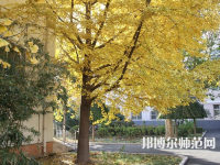北京京北職業(yè)師范技術(shù)學院2023年報名條件、招生要求、招生對象