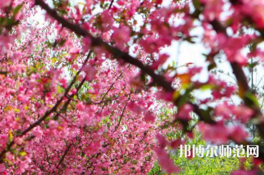鄭州大學(xué)師范學(xué)院主校區(qū)2023年報(bào)名條件、招生要求、招生對(duì)象