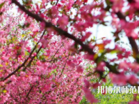 鄭州大學(xué)師范學(xué)院主校區(qū)2023年報(bào)名條件、招生要求、招生對象