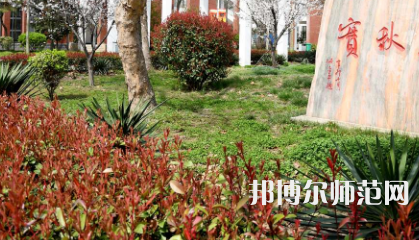 周口職業(yè)技術(shù)師范學(xué)院開(kāi)元校區(qū)2023年有哪些專業(yè)