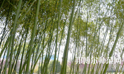 周口職業(yè)技術(shù)師范學(xué)院開元校區(qū)2023年報名條件、招生要求、招生對象