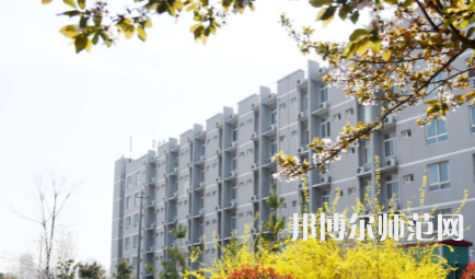 周口職業(yè)技術(shù)師范學(xué)院開(kāi)元校區(qū)2023年怎么樣、好不好