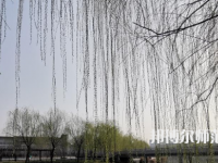鶴壁職業(yè)技術(shù)師范學(xué)院2023年怎么樣、好不好