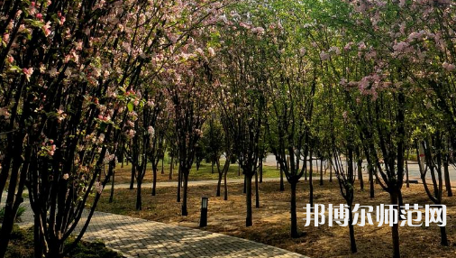 鶴壁職業(yè)技術(shù)師范學院2023年招生代碼