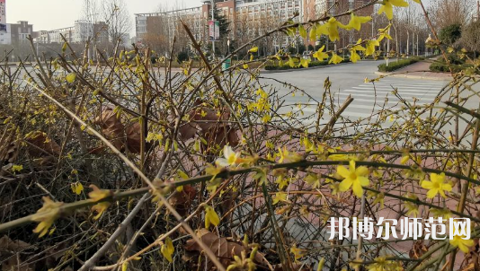鶴壁職業(yè)技術(shù)師范學院2023年招生代碼