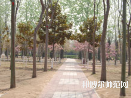 濮陽職業(yè)技術(shù)師范學(xué)院2023年報(bào)名條件、招生要求、招生對(duì)象