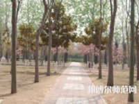 濮陽職業(yè)技術(shù)師范學(xué)院2023年報(bào)名條件、招生要求、招生對象