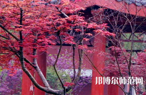 駐馬店師范職業(yè)技術(shù)學(xué)院2023年怎么樣、好不好
