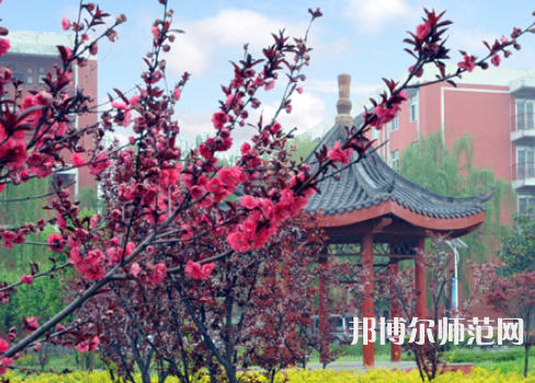 駐馬店師范職業(yè)技術(shù)學(xué)院2023年報名條件、招生要求、招生對象