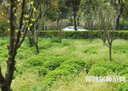 駐馬店師范職業(yè)技術(shù)學(xué)院2023年報名條件、招生要求、招生對象