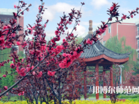駐馬店師范職業(yè)技術(shù)學(xué)院2023年報(bào)名條件、招生要求、招生對象