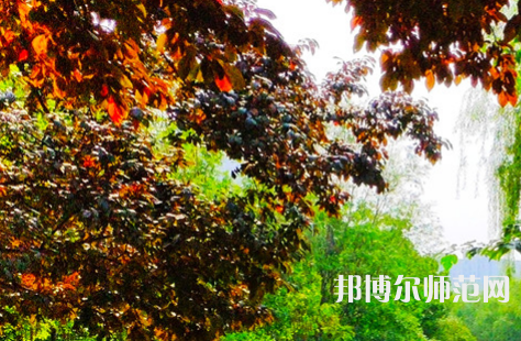 河南大學(xué)師范學(xué)院金明校區(qū)2023年怎么樣、好不好
