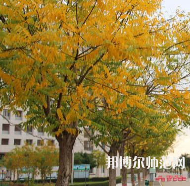 榆林職業(yè)技術師范學院2023年怎么樣、好不好